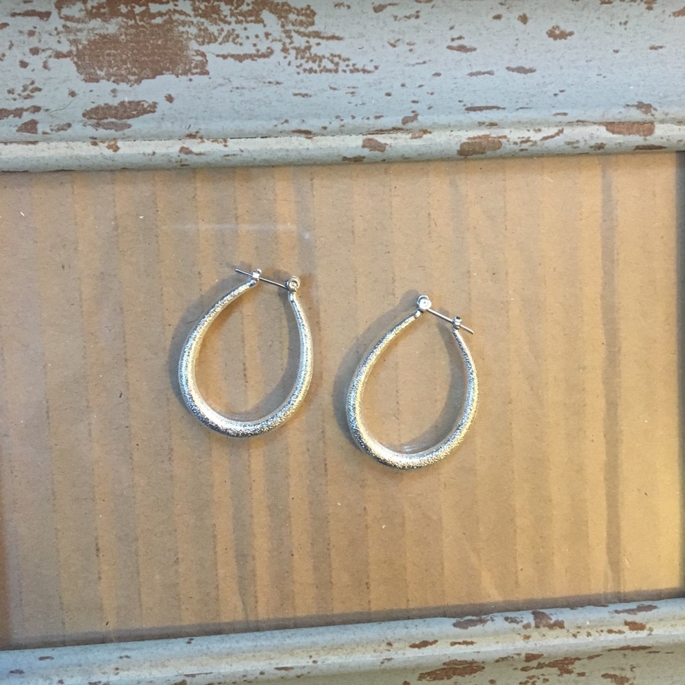 NWOT Earrings